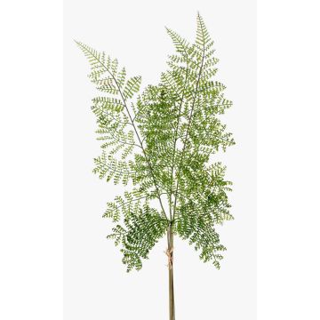 Rama de helecho de polystichum de plástico HALIMA, verde, 60cm Rama de helecho de polystichum de plástico HALIMA, verde, 60cm