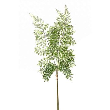 Rama de helecho de polystichum de plástico HALIMA, verde, 60cm