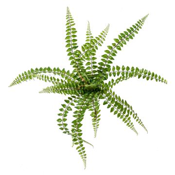 Helecho botón artificial BELONA en vara de ajuste, verde, 50cm