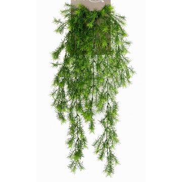 Planta colgante de asparagus sprengeri artificial COLE, en vara de ajuste, 75cm Planta colgante de asparagus sprengeri artificial COLE, en vara de ajuste, 75cm
