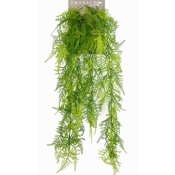 Planta colgante de asparagus plumosus artificial COLE, en vara de ajuste, 80cm Planta colgante de asparagus plumosus artificial COLE, en vara de ajuste, 80cm
