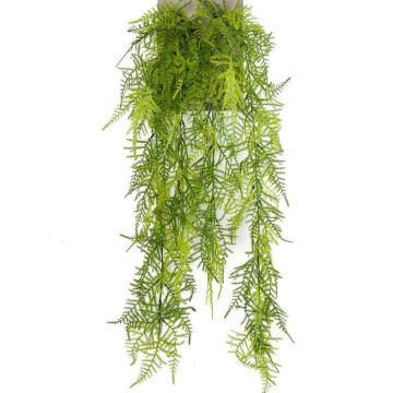 Planta colgante de asparagus plumosus artificial COLE, en vara de ajuste, 80cm