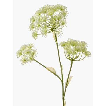 Heracleum artificial EVERALDO, blanco, 105cm Heracleum artificial EVERALDO, blanco, 105cm