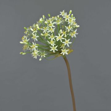 Allium artificial BRAIS, blanco, 90cm
