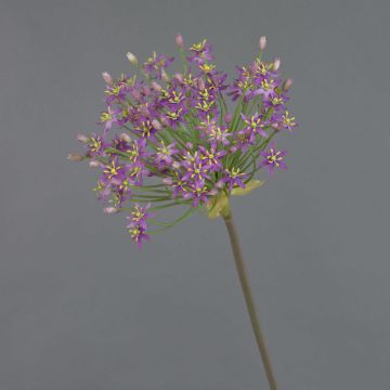 Allium artificial BRAIS, violeta, 90cm