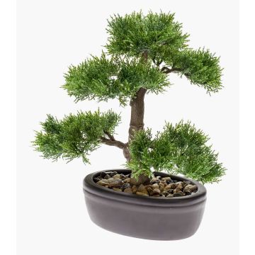 Bonsai de cedro artificial BERTOLT en cuenco, 30cm