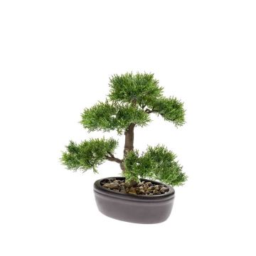 Bonsai de cedro artificial BERTOLT en cuenco, 30cm