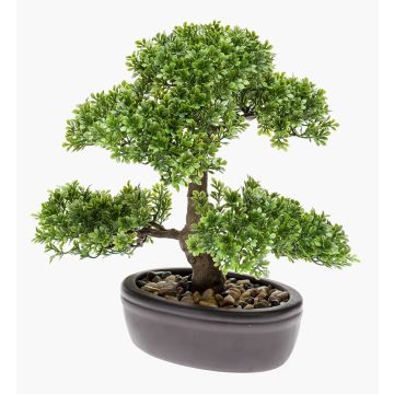 Bonsai de ficus artificial HESPER en cuenco, 30cm