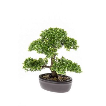 Bonsai de ficus artificial HESPER en cuenco, 30cm