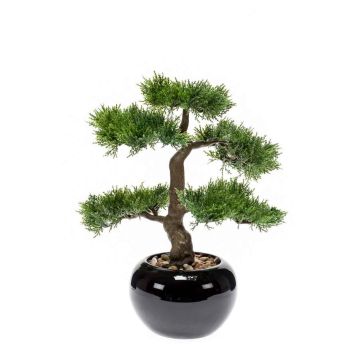 Bonsai de cedro artificial ADARA en maceta de cerámica, 35cm