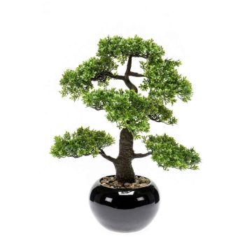 Bonsai de ficus artificial ASHER en maceta de cerámica, 45cm