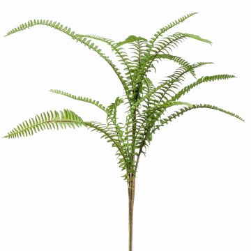 Rama artificial de helecho de boston AMPELIO, verde, 60cm