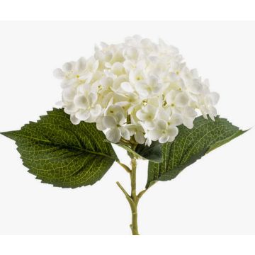 Hortensia artificial EGIA, crema, 50cm