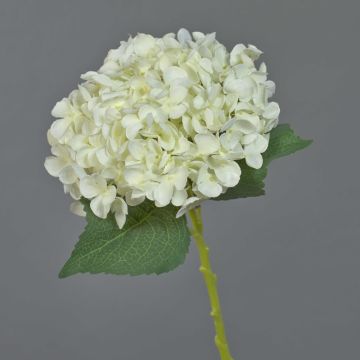 Hortensia artificial EGIA, crema, 50cm
