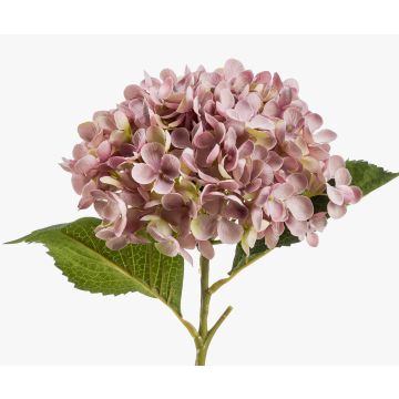 Hortensia artificial EGIA, rosa, 50cm