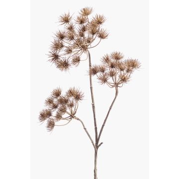 Planta artificial de heracleum BELMIRO, marrón, 100cm Planta artificial de heracleum BELMIRO, marrón, 100cm