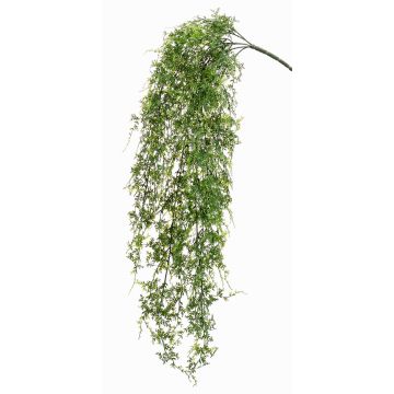 Planta colgante de helecho hembra artificial KALI, en vara de ajuste, espacios semiprotegidos, verde, 80cm Planta colgante de helecho hembra artificial KALI, en vara de ajuste, espacios semiprotegidos, verde, 80cm