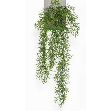Planta colgante de cactus rhipsalis artificial PUEBLA en vara de ajuste, verde, 75cm