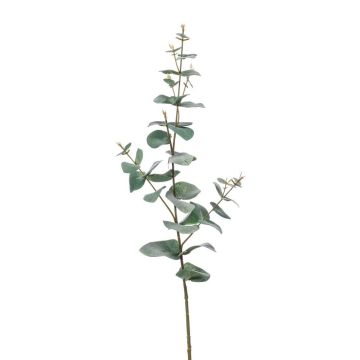 Rama de eucalipto de plástico CALLIOPE, verde-gris, 70cm