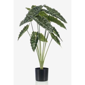 Alocasia sanderiana artificial FIORELLA, verde, 80cm