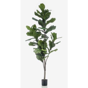 Ficus lyrata artificial ENRIKO, tronco falso, verde, 150cm Ficus lyrata artificial ENRIKO, tronco falso, verde, 150cm