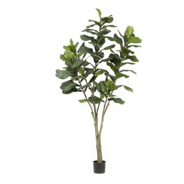 Ficus lyrata artificial ENRIKO, tronco falso, verde, 210cm