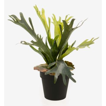 Helecho de platycerium artificial LENNON, verde, Ø35cm