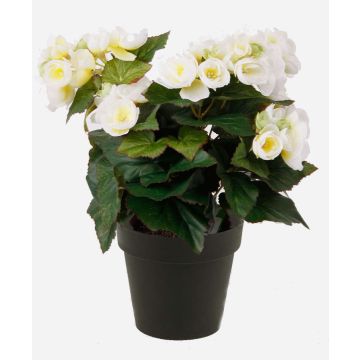 Begonia artificial DOBRADA, crema, 30cm Begonia artificial DOBRADA, crema, 30cm