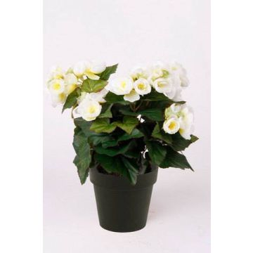 Begonia artificial DOBRADA, crema, 30cm