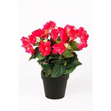 Begonia artificial DOBRADA, fucsia, 30cm