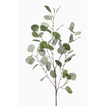 Rama de eucalipto artificial COLTON, verde-gris, 85cm