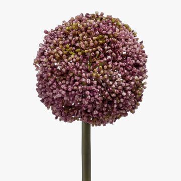 Allium de plástico BOUTROS, violeta, 75cm Allium de plástico BOUTROS, violeta, 75cm
