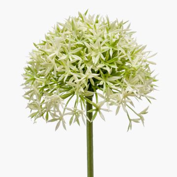 Allium artificial ARNAU, crema-verde, 60cm Allium artificial ARNAU, crema-verde, 60cm