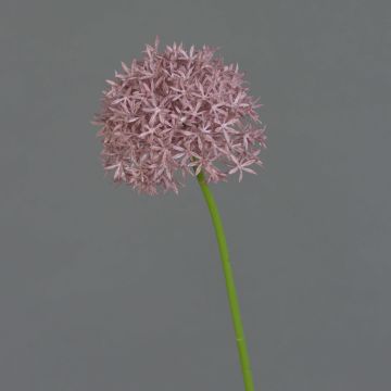 Allium artificial ARNAU, violeta, 60cm