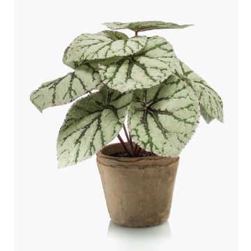 Begonia rex artificial MEIRA en maceta de terracota, verde-gris, 25cm