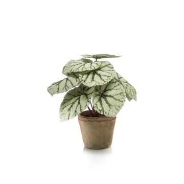 Begonia rex artificial MEIRA en maceta de terracota, verde-gris, 25cm