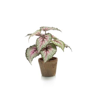 Begonia rex artificial MEIRA en maceta de terracota, verde-rosa, 25cm