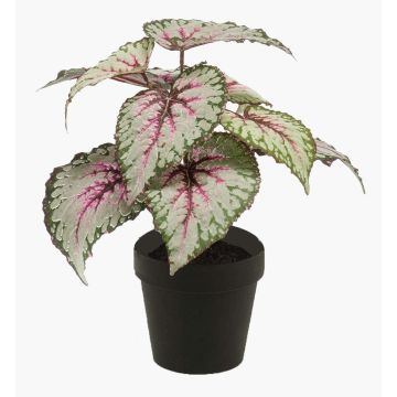 Begonia rex artificial MEIRA, verde-rosa, 25cm