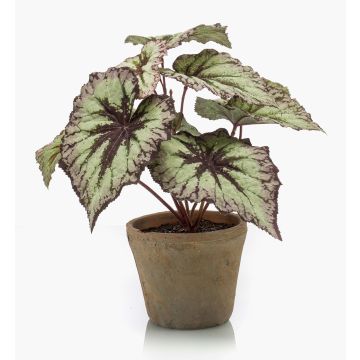 Begonia rex artificial MEIRA en maceta de terracota, verde-violeta, 25cm