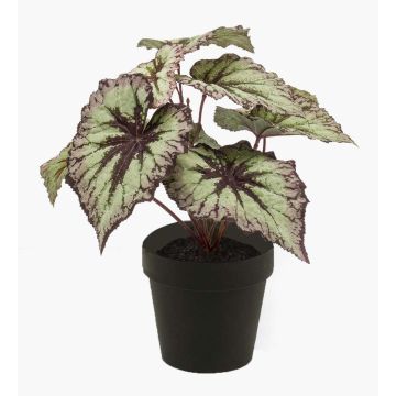 Begonia rex artificial MEIRA, verde-violeta, 25cm