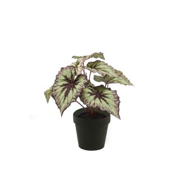 Begonia rex artificial MEIRA, verde-violeta, 25cm