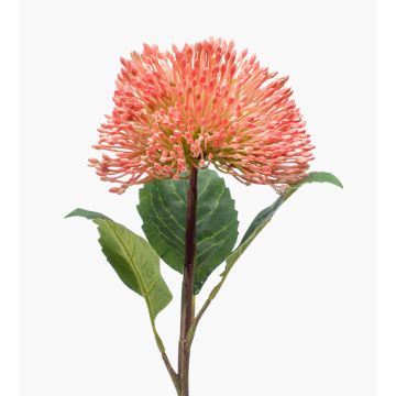 Flor de sedum de plástico JICAMA, rosa, 45cm Flor de sedum de plástico JICAMA, rosa, 45cm