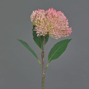 Flor de sedum de plástico JICAMA, rosa, 45cm
