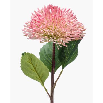 Flor de sedum de plástico JICAMA, blanco rosado, 45cm Flor de sedum de plástico JICAMA, blanco rosado, 45cm