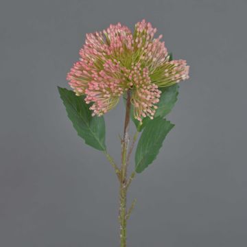 Flor de sedum de plástico JICAMA, blanco rosado, 45cm