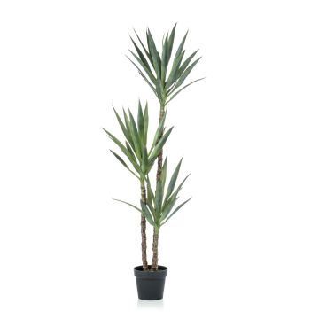 Yuca artificial FRONTEIRA, 150cm