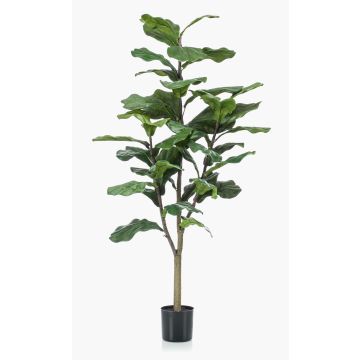 Ficus lyrata artificial EUSEBI, tronco falso, verde, 120cm Ficus lyrata artificial EUSEBI, tronco falso, verde, 120cm