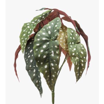 Begonia maculata artificial ELISEIA en vara de ajuste, verde-blanco, 30cm