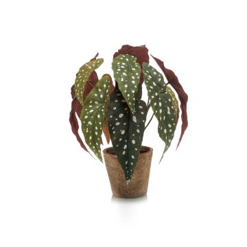 Begonia maculata artificial ELISEIA, maceta de terracota, verde-blanco, 30cm