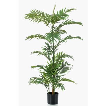 Palmera de areca artificial PRIMO, 120cm Palmera de areca artificial PRIMO, 120cm